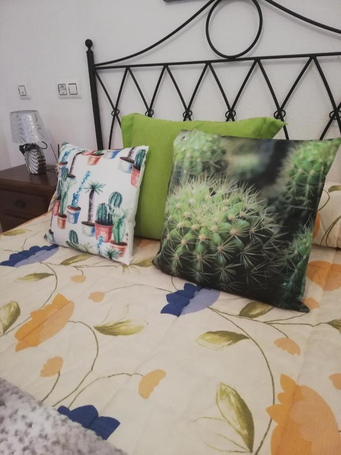 Apartamento Naturista En Primera Linea De Vera Playa!!! Las Bombardas Eksteriør billede