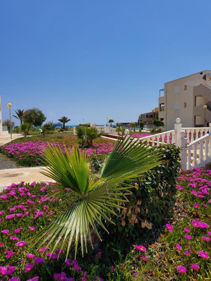 Apartamento Naturista En Primera Linea De Vera Playa!!! Las Bombardas Eksteriør billede