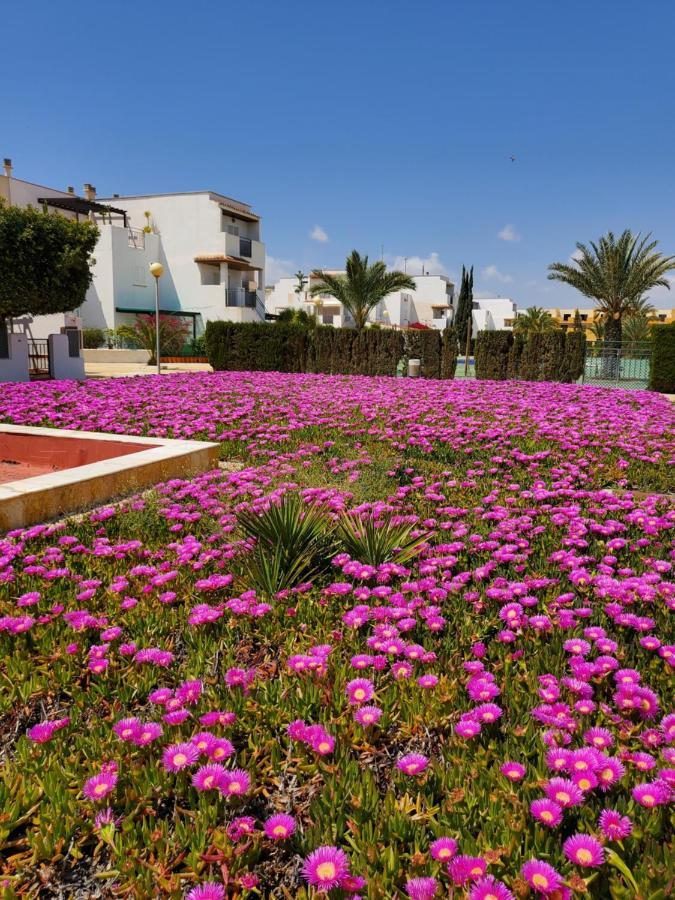 Apartamento Naturista En Primera Linea De Vera Playa!!! Las Bombardas Eksteriør billede
